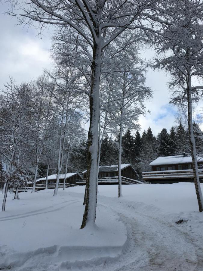 Le Voyageur Villa Murringen Luaran gambar